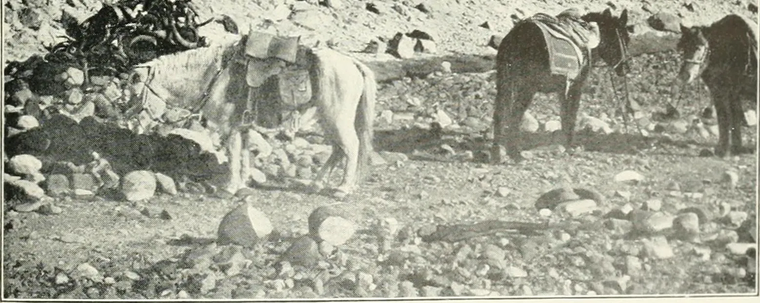 Kibber, Spiti Valley
