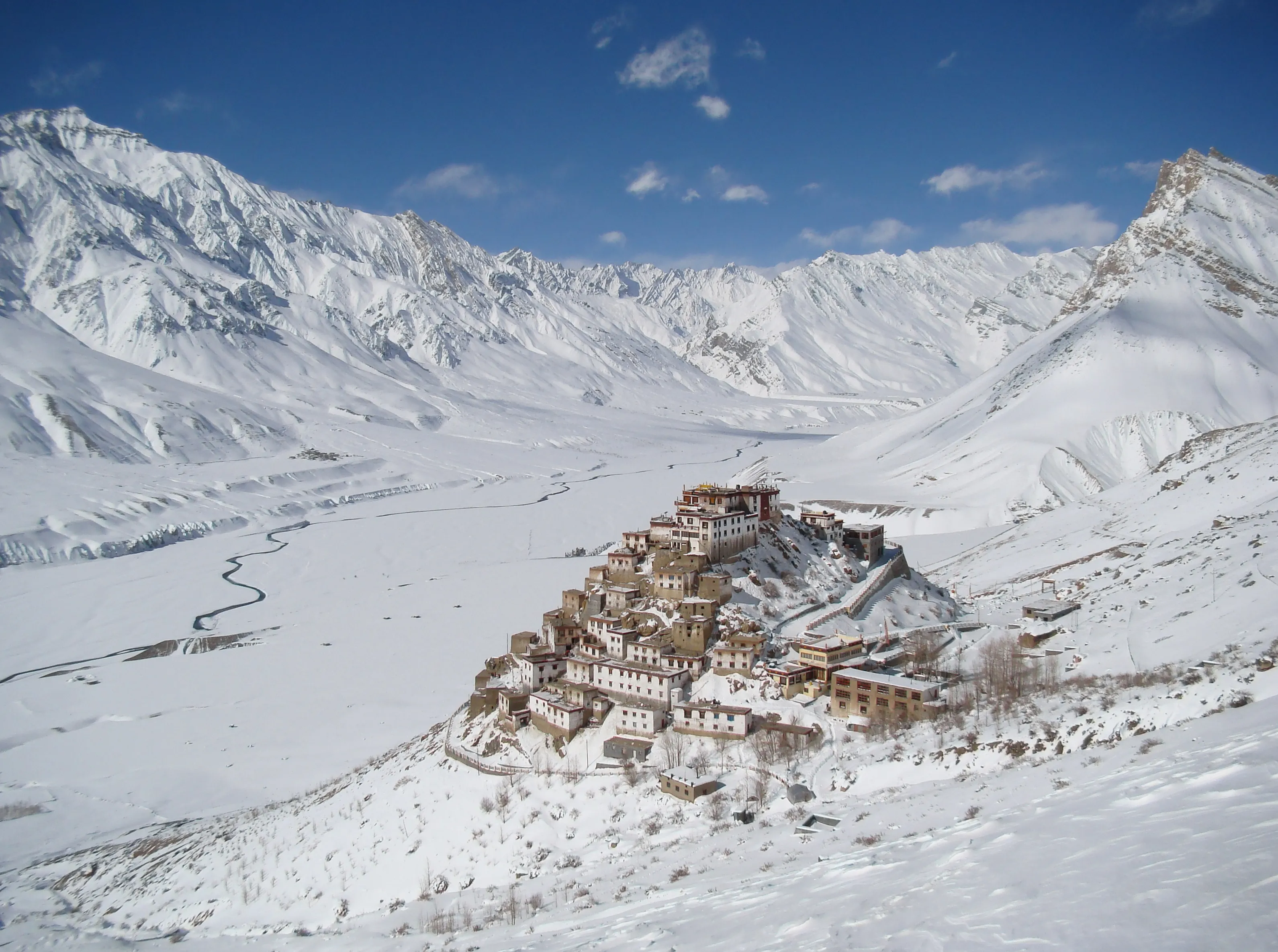 Elusive snow leopard camouflaged on a rocky slope in winter Spiti